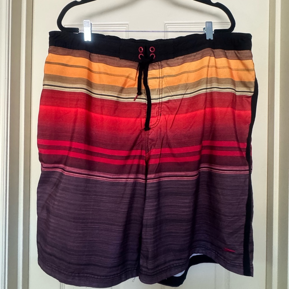 Speedo striped Swim Shorts